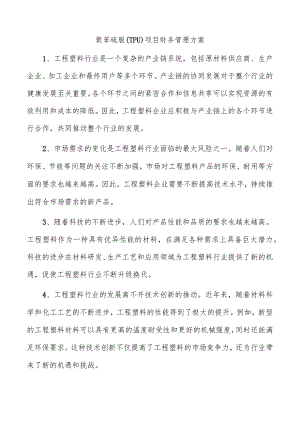 聚苯硫脲（TPU）项目财务管理方案.docx