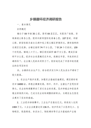 20XX年乡镇循环经济调研报告.docx