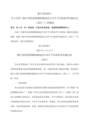 浙江省民政领域轻微违法行为不予行政处罚实施办法（试行）（2023年）.docx