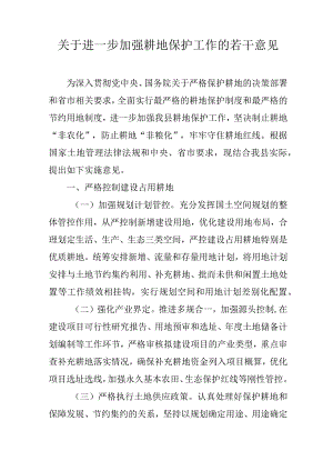 关于进一步加强耕地保护工作的若干意见.docx