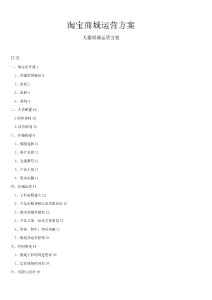 天猫商城绝密运营方案.docx