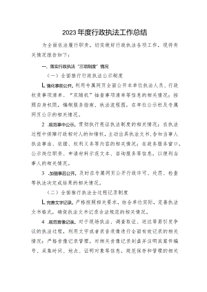 2023年度行政执法工作总结.docx