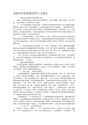 加强内控机制建设的几点建议.docx