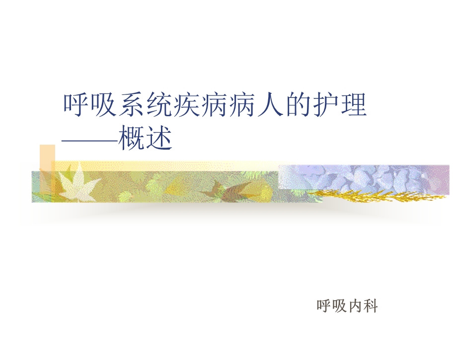 呼吸系统疾病护理常规.ppt_第1页