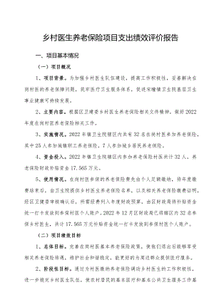 卫生院乡村医生养老保险项目支出绩效评价报告.docx