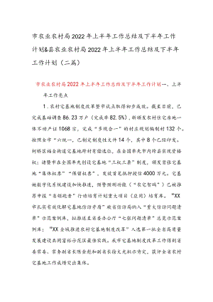 市农业农村局2022年上半年工作总结及下半年工作计划 & 县农业农村局2022年上半年工作总结及下半年工作计划 （二篇）.docx