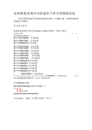 如何批量查询丹鸟快递多个单号的物流信息.docx