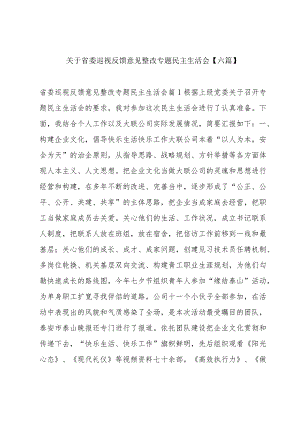 关于省委巡视反馈意见整改专题民主生活会【六篇】.docx