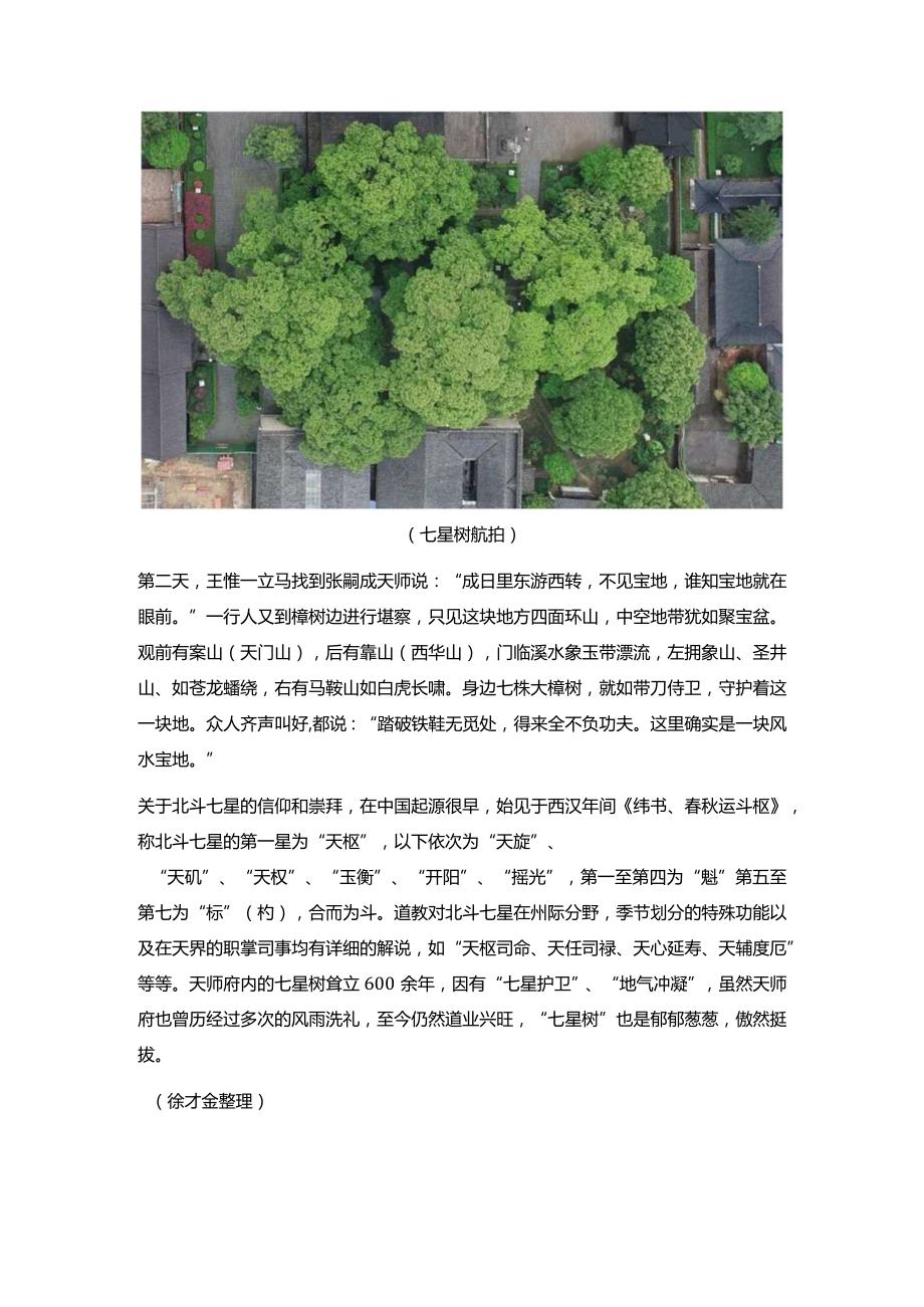 天师府选址和七星树的神奇传说.docx_第3页