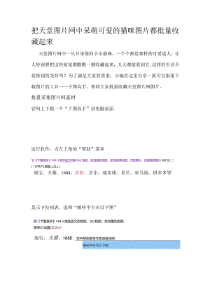 把天堂图片网中呆萌可爱的猫咪图片都批量收藏起来.docx