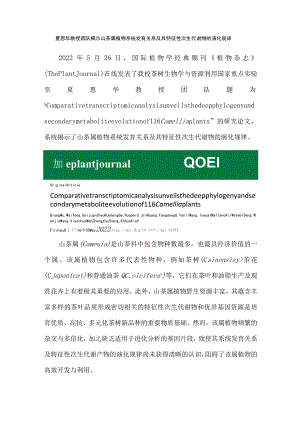 夏恩华教授团队揭示山茶属植物系统发育关系及其特征性次生代谢物的演化规律.docx