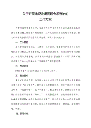 关于2023年开展违规吃喝问题专项整治的工作方案.docx