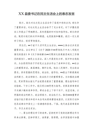 XX县委书记在民主生活会上的表态发言.docx