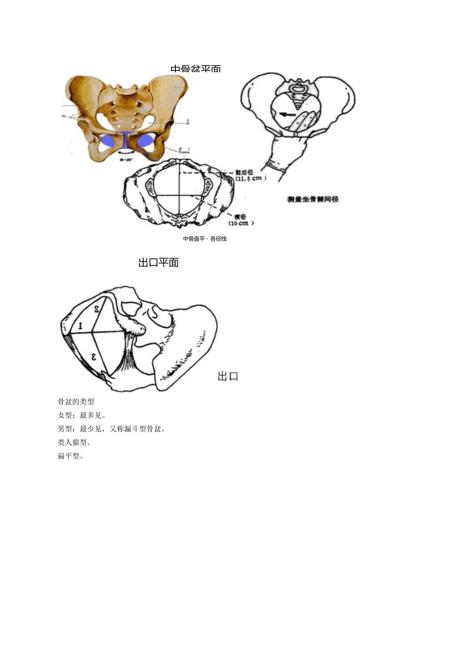 中西医结合执业医师-女性生殖系统解剖讲义及练习.docx_第3页