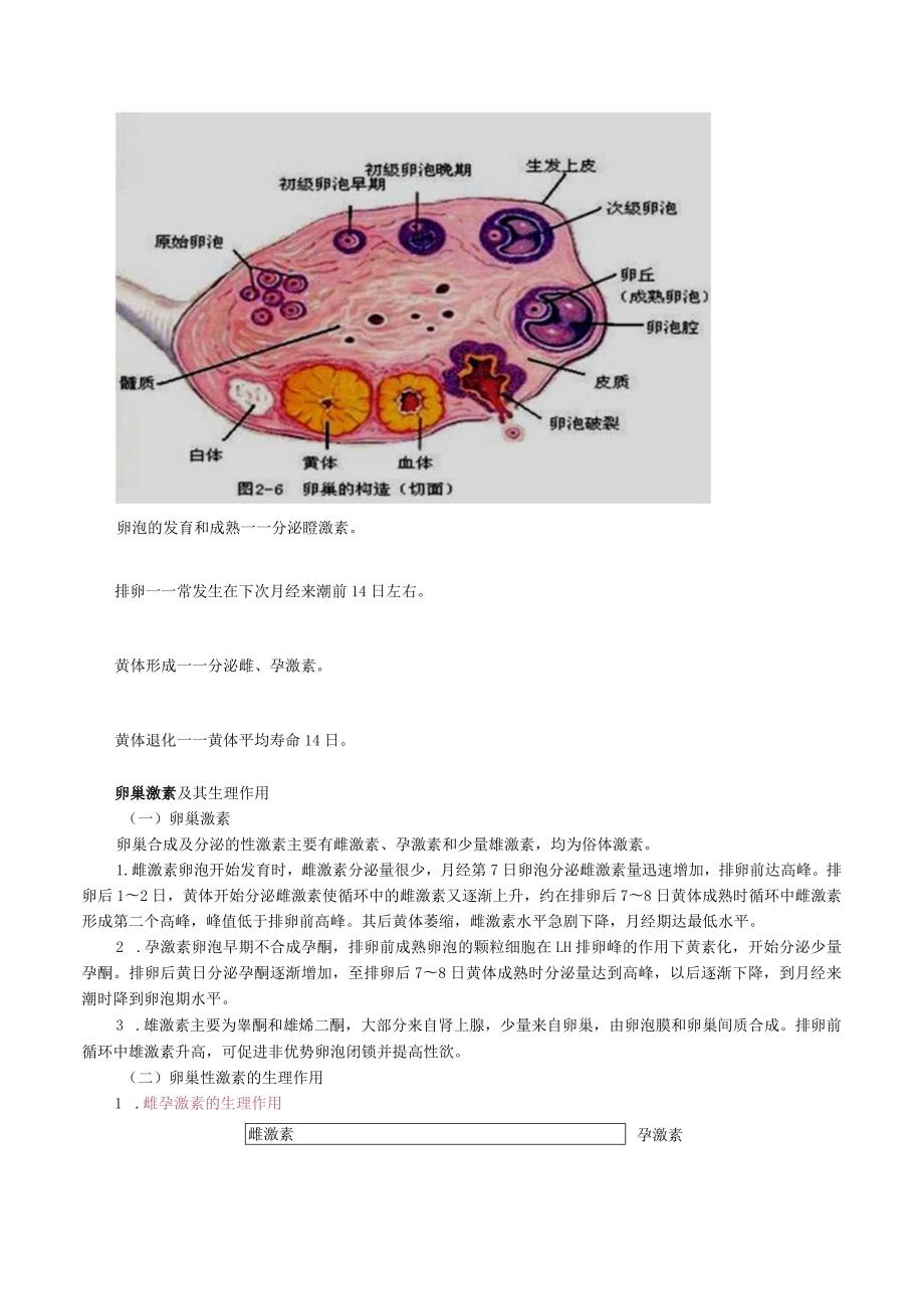 中西医结合执业医师考试-女性生殖系统生理讲义及练习.docx_第2页