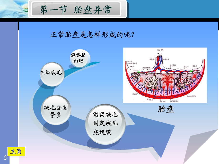 胎盘异常.ppt_第2页