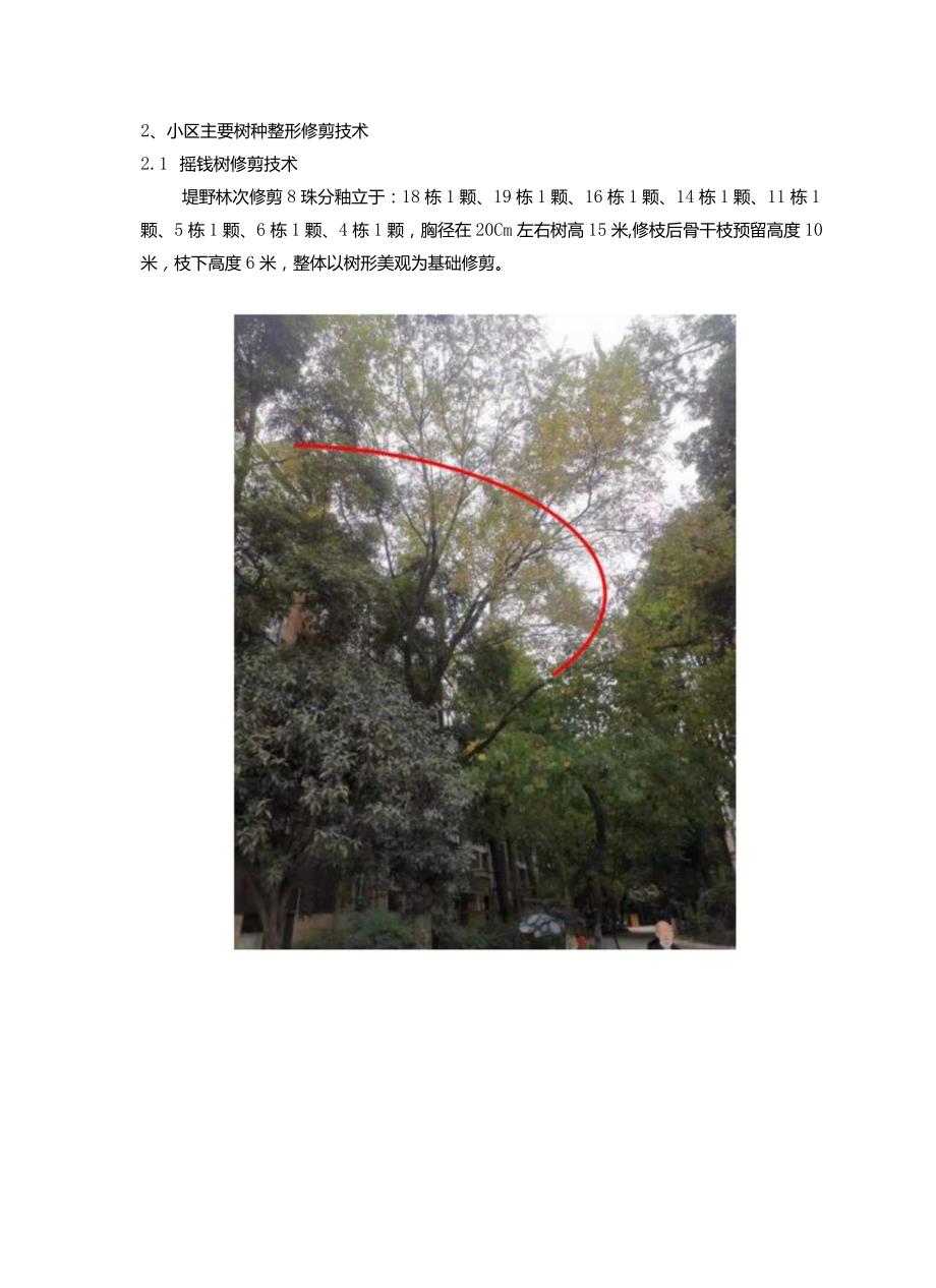 物业绿化树木修剪方案.docx_第3页