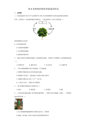 第4章 植物的物质和能量的转化 综合练习（含解析）.docx