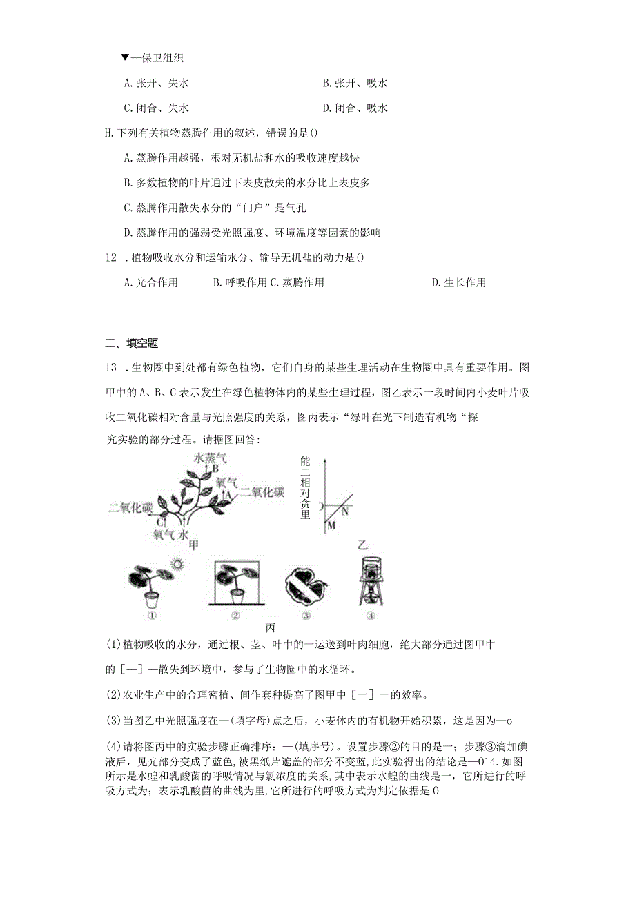 第4章 植物的物质和能量的转化 综合练习（含解析）.docx_第3页