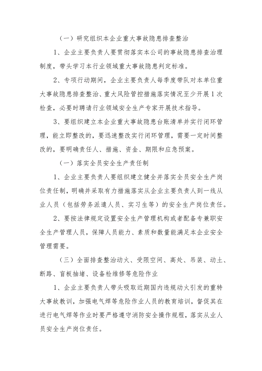 重大事故隐患排查整治行动方案.docx_第2页