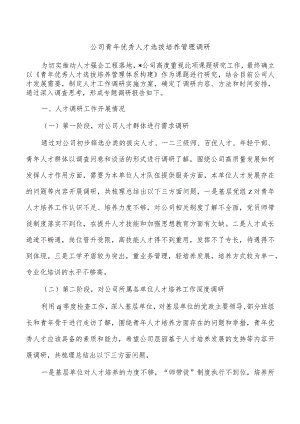 公司青年优秀人才选拔培养管理调研.docx