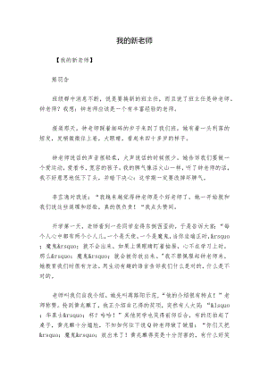 我的新老师.docx