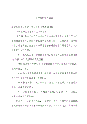 小学教师实习感言.docx