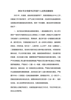 2024年乡党委书记年度个人述责述廉报告.docx