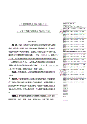 云南东源镇雄煤业有限公司专业技术职务评审办法--2016发.docx