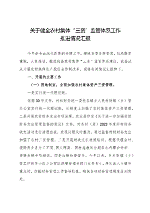 关于健全农村集体三资监管体系工作推进情况汇报.docx