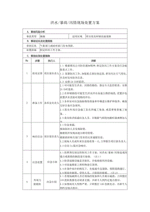 24 洪水、暴雨、汛情现场处置方案.docx