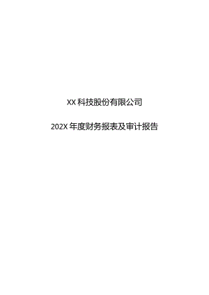 XX科技股份有限公司202X年度财务报表及审计报告.docx