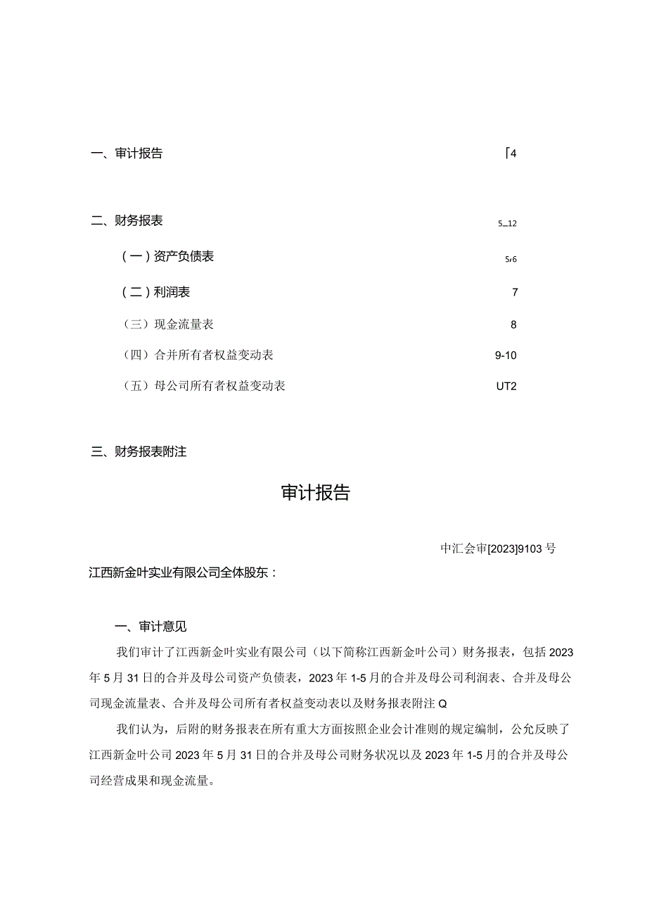 金圆股份：江西新金叶实业有限公司审计报告.docx_第2页