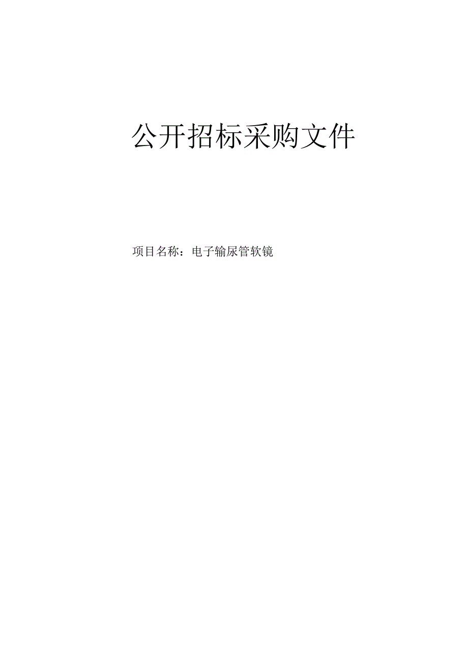 医院电子输尿管软镜项目招标文件.docx_第1页