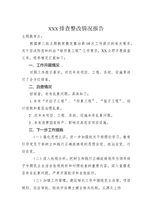 “新形象工程”排查整改情况.docx