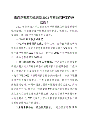 市自然资源和规划局2023年耕地保护工作总结2篇.docx