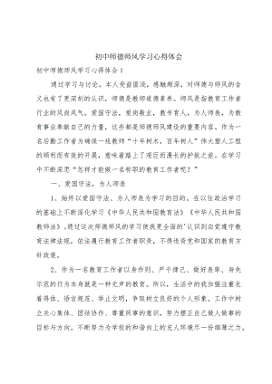 初中师德师风学习心得体会.docx