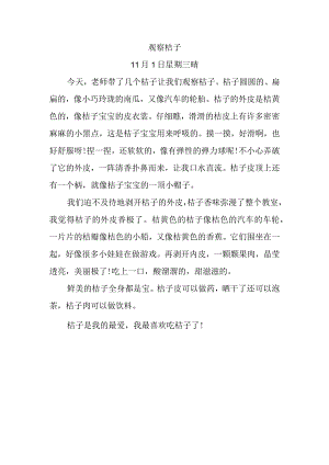 观察桔子小金鱼日记.docx