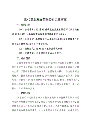 现代农业发展有限公司组建方案.docx