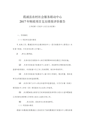 霞浦县农村社会服务联动中心2017年财政项目支出绩效评价报告.docx