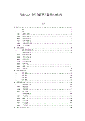 某公司全面预算管理实施细则[1](DOC41页).docx