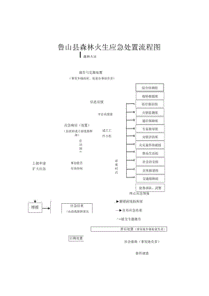 鲁山县森林火灾应急处置流程图.docx