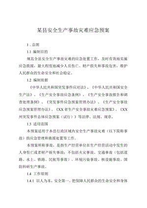 某县安全生产事故灾难应急预案.docx