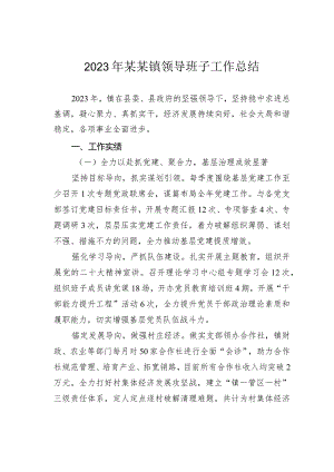 2023年某某镇领导班子工作总结.docx