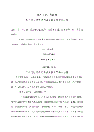 江苏省关于促进民营经济发展壮大的若干措施（2024年）.docx