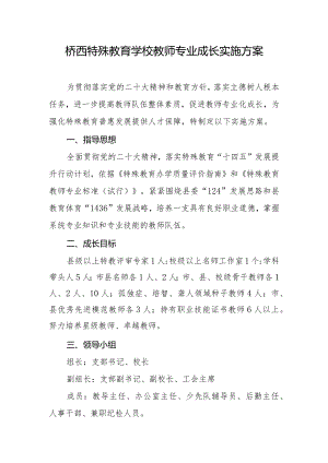 桥西特殊教育学校教师专业成长实施方案.docx