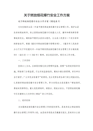 关于燃放烟花爆竹安全工作方案.docx