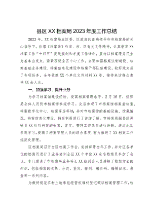 县区档案局2023年度工作总结.docx