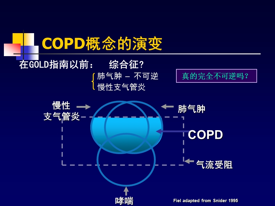 COPD一种伴有异常炎症反应的多因素构成的疾病.ppt_第3页