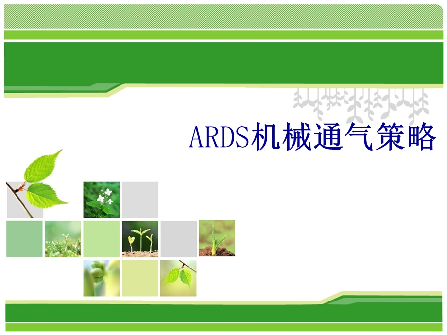 ards机械通气策略.ppt_第1页